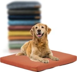 Rexproduct Hondenmand – Hondenkussen – Hondenbed Met Rits En Wasbaar – Manden & Kussens 90 X 110 CM – 0 Tot 80 Kg – SoftPet Oranje